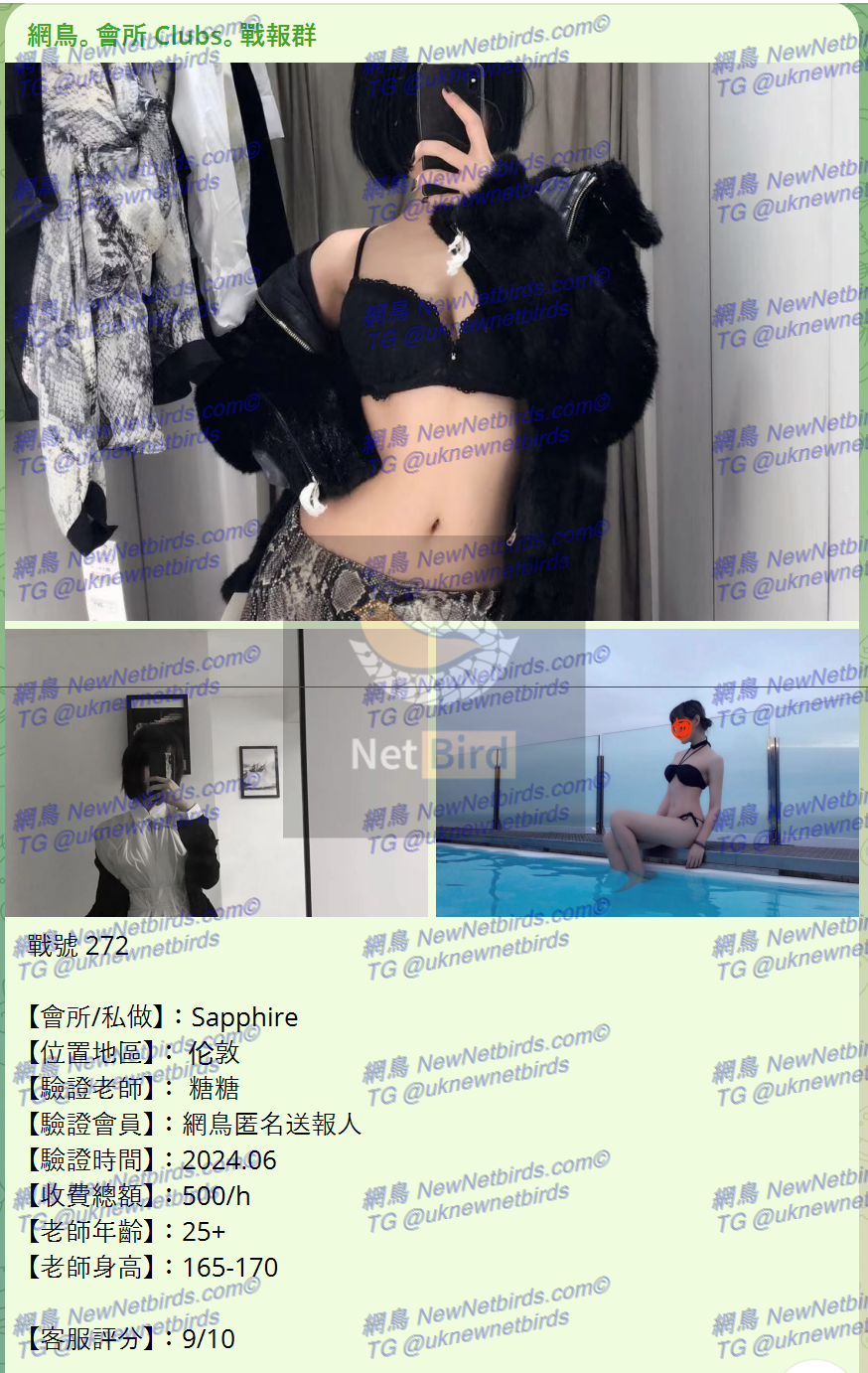 戰號 272 1.png